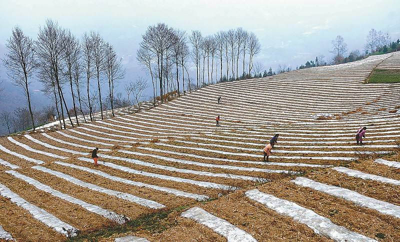 yl7703永利官网(集团)有限公司